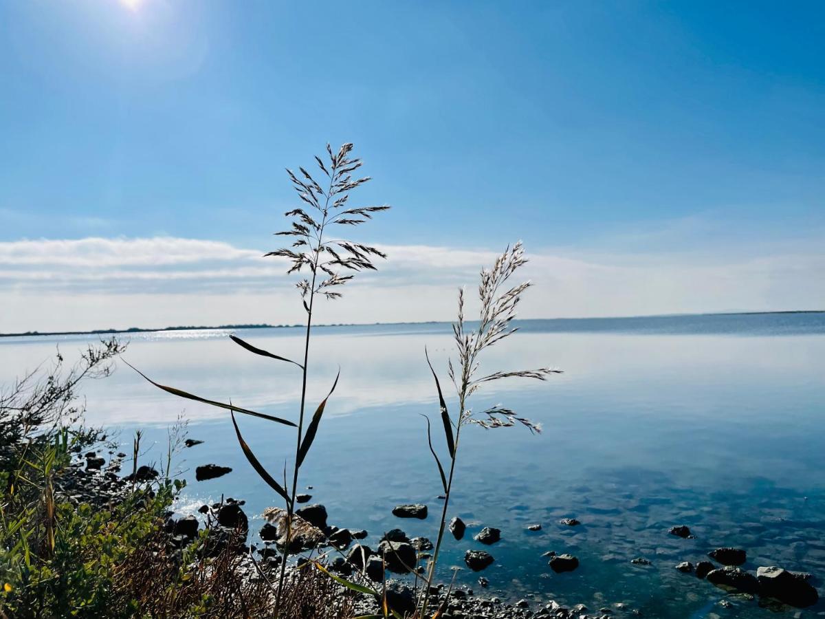 Duplex Ambiance Proche Plage Mireval Zewnętrze zdjęcie